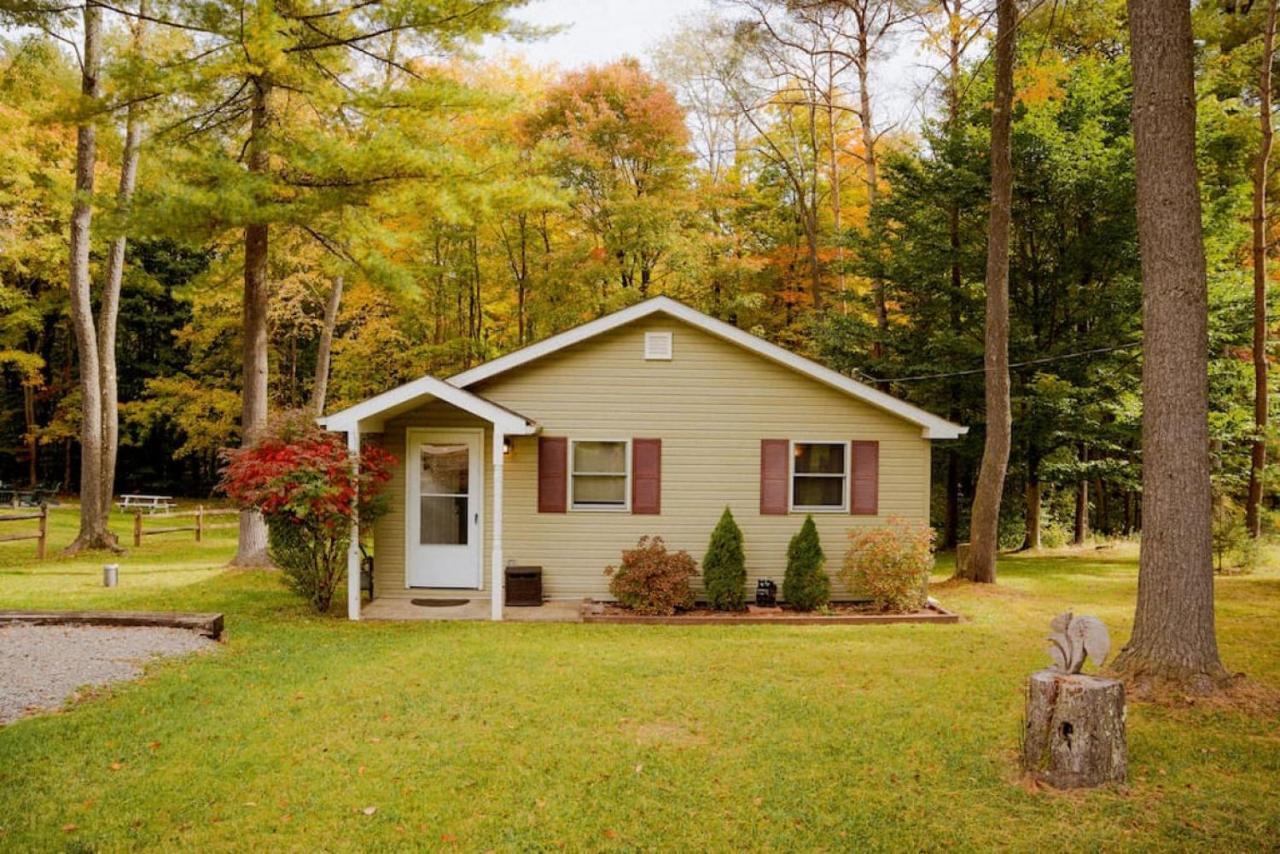 Cozy Cottage Near Cook Forest Park, Anf Marienville Buitenkant foto